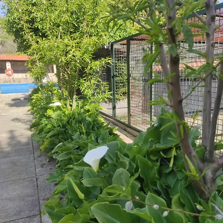 Real Santo Antonio Bed & Breakfast Tarouca