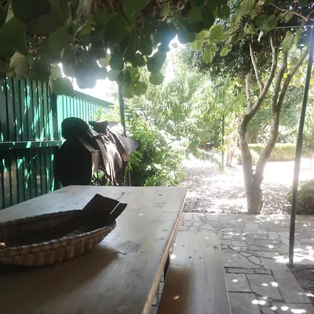 Real Santo Antonio Bed & Breakfast Tarouca