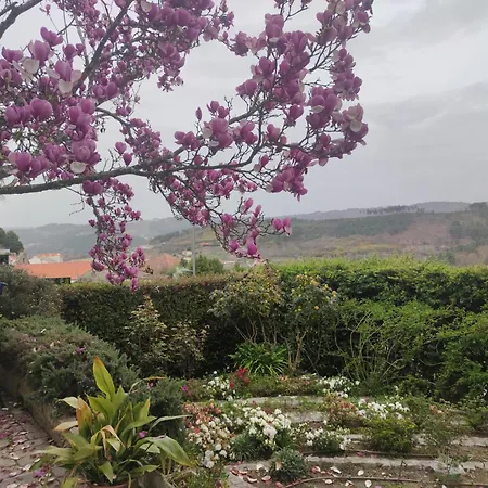 Real Santo António Tarouca