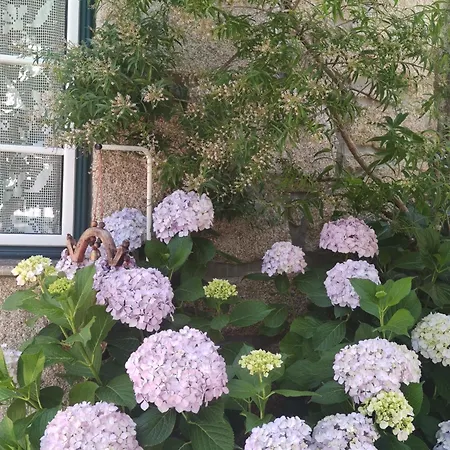 Real Santo Antonio * Tarouca