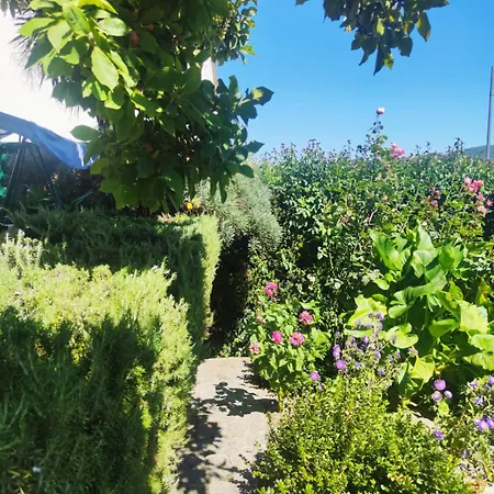 Real Santo Antonio Bed & Breakfast Tarouca