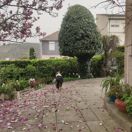 Bed & Breakfast Real Santo Antonio