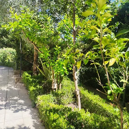 Real Santo Antonio Bed & Breakfast