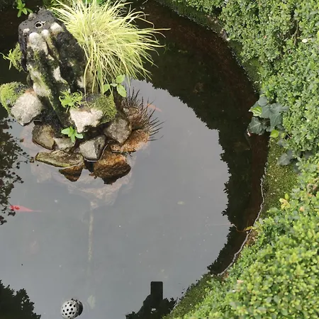 Bed & Breakfast Real Santo Antonio *