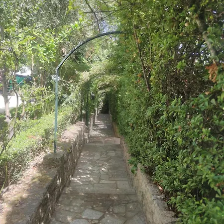 Real Santo António *