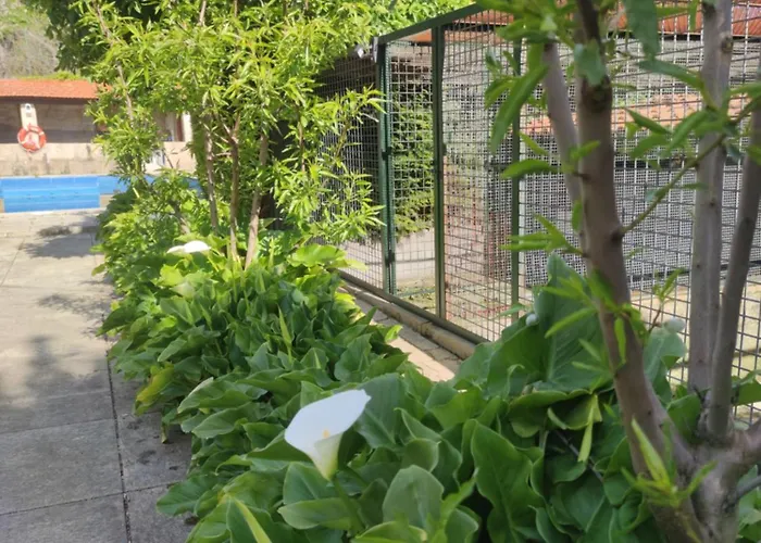 Real Santo Antonio Nocleg ze śniadaniem Tarouca