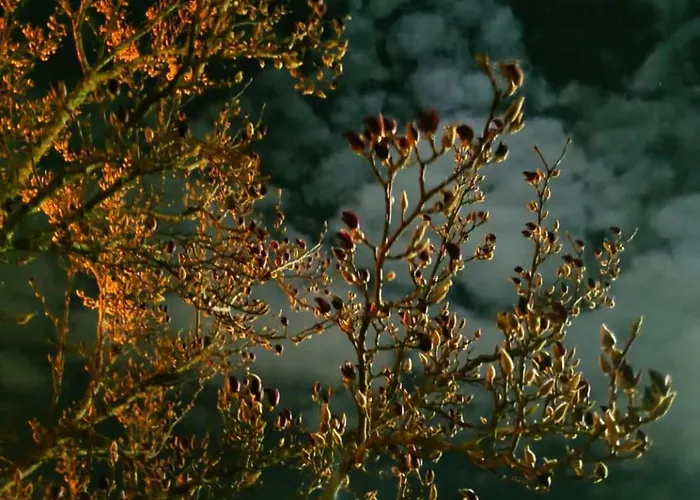 Real Santo Antonio Nocleg ze śniadaniem