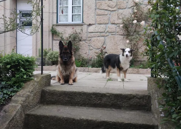 Real Santo Antonio Nocleg ze śniadaniem Tarouca