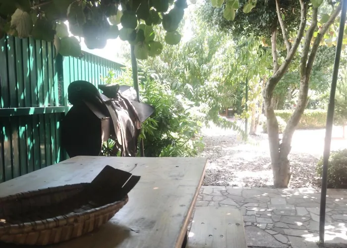 Real Santo Antonio Nocleg ze śniadaniem Tarouca