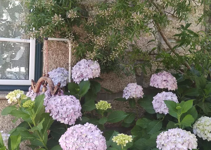 Real Santo Antonio * Tarouca