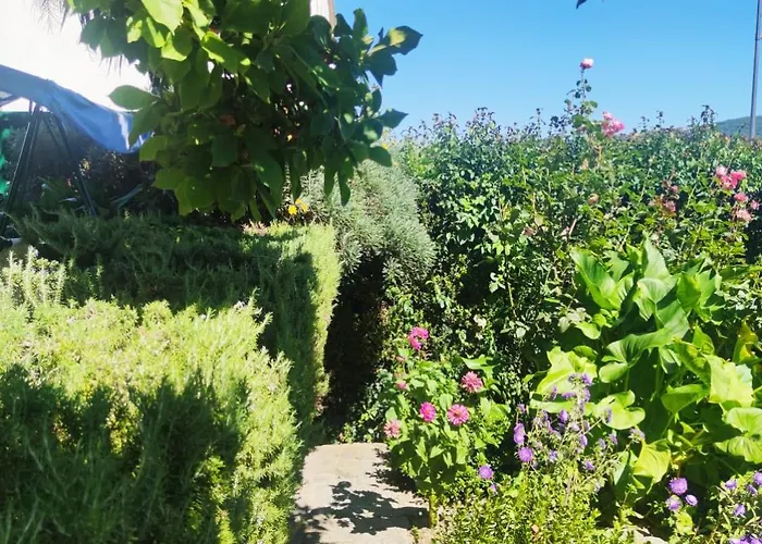 Real Santo Antonio Nocleg ze śniadaniem Tarouca