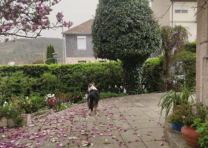 Nocleg ze śniadaniem Real Santo Antonio