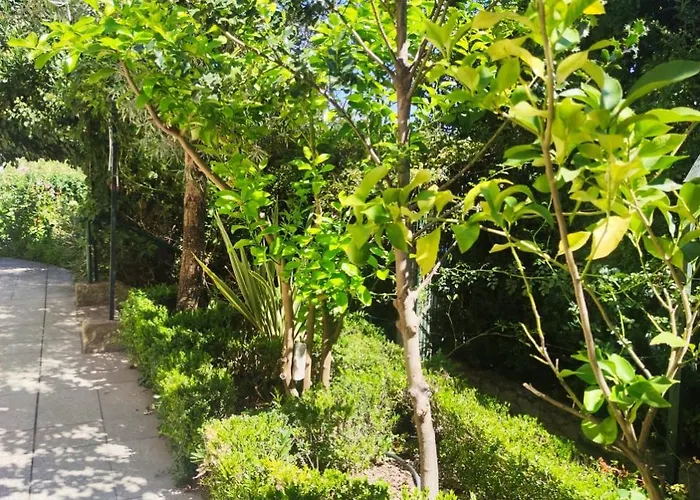 Real Santo Antonio Nocleg ze śniadaniem