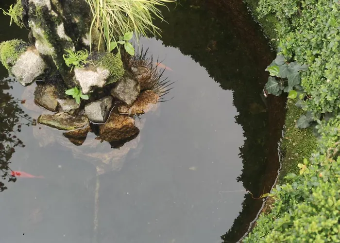 Nocleg ze śniadaniem Real Santo Antonio *