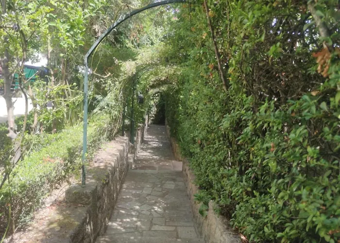 Real Santo Antonio *